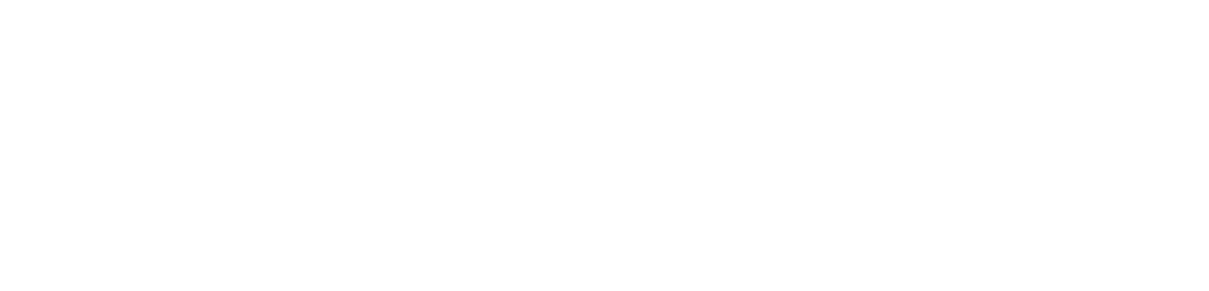 Iron Core Mech Survivor
